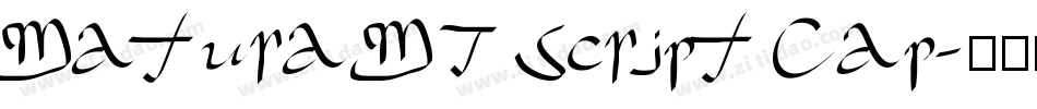 Matura MT Script Cap字体转换